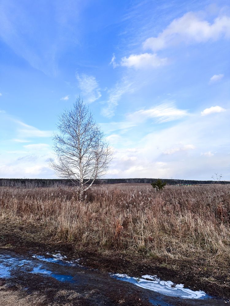 Photograph by Svetlana Tolkunova