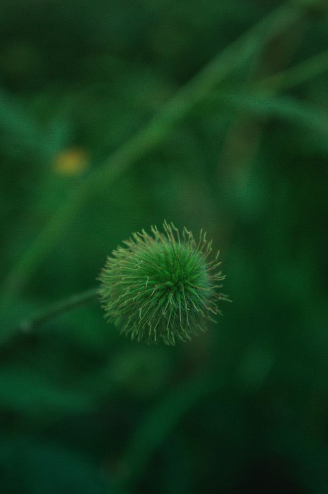 Photograph by Дмитрий Петров