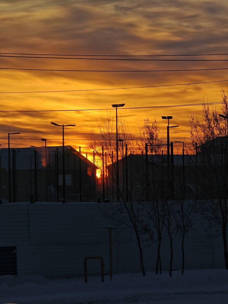 Photo #11380676