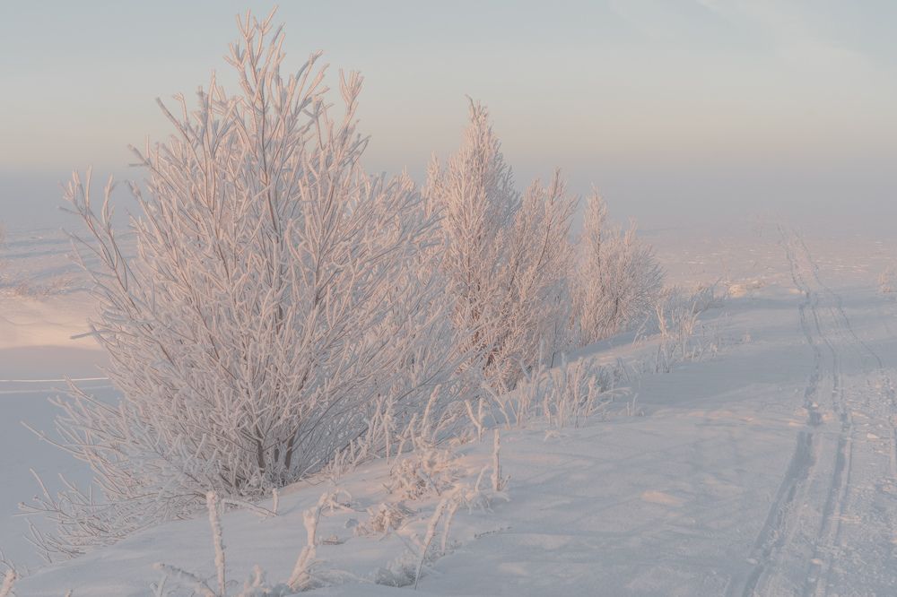 Фотография автора Константин Григорьев
