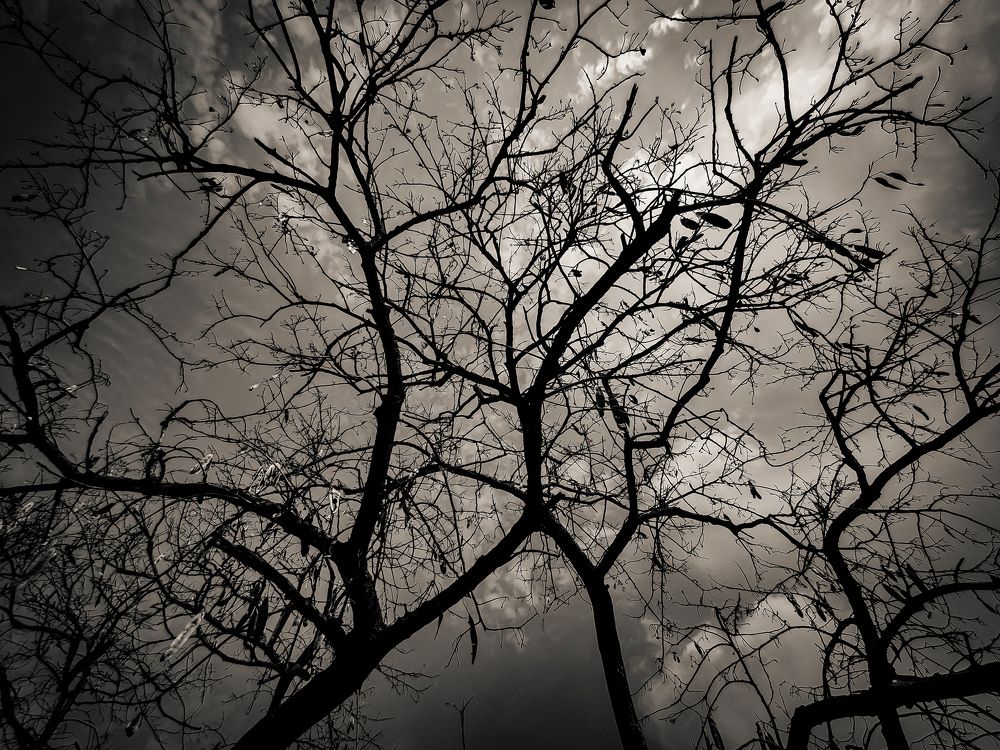 Photograph by Dhruv Jain