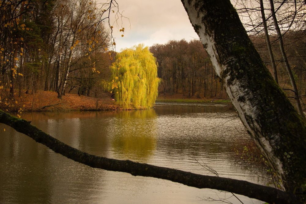 Photograph by Vladimir Bragilevsky