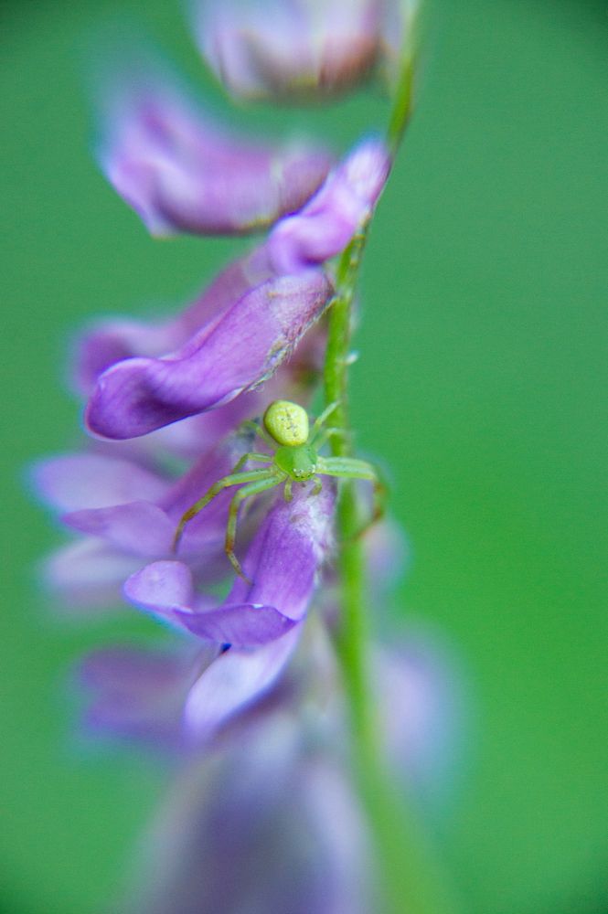 Photograph by Елизавета Корнилова
