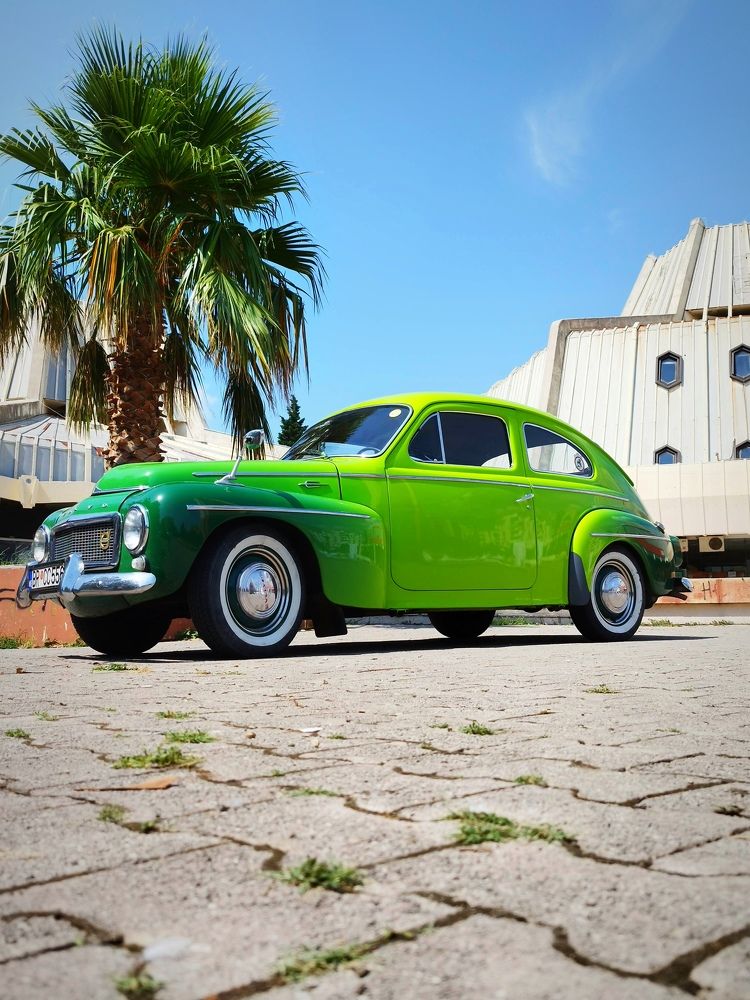 Фотография автора JELENA VASIC