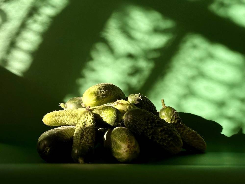 Photograph by Наталья Сережко