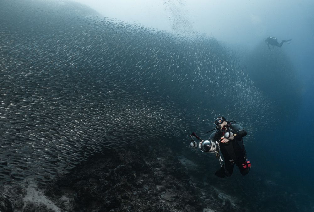 Photograph by Савин Андрей