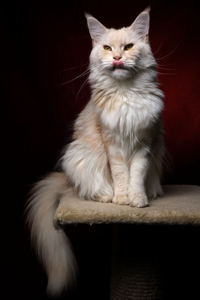 Photograph by Vladimir Grigorjev