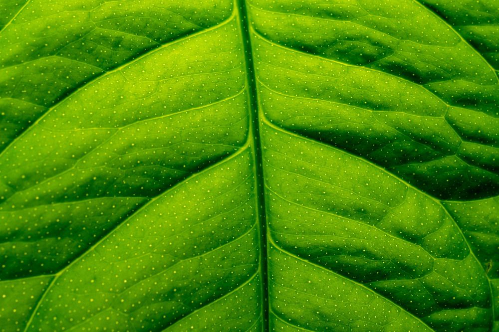 Photograph by Павел Юнусов