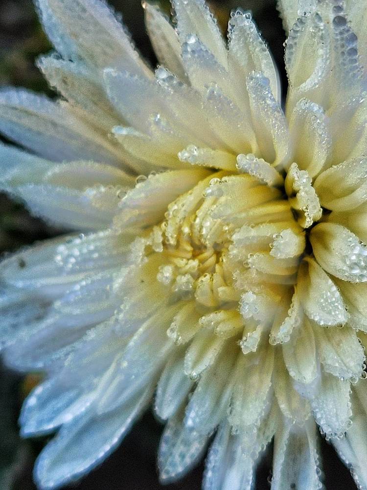 Photograph by Алина