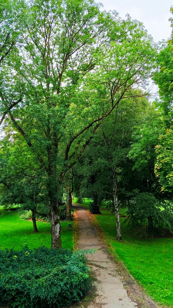 Photograph by Dilara C