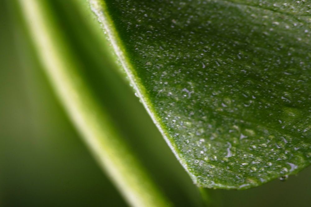 Photograph by Владислав Кравцов