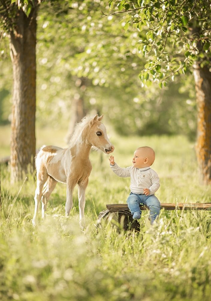 Photograph by Елена Алешечкина