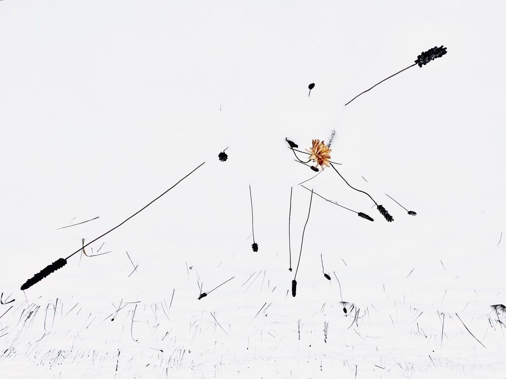 Photograph by Наталья Сережко