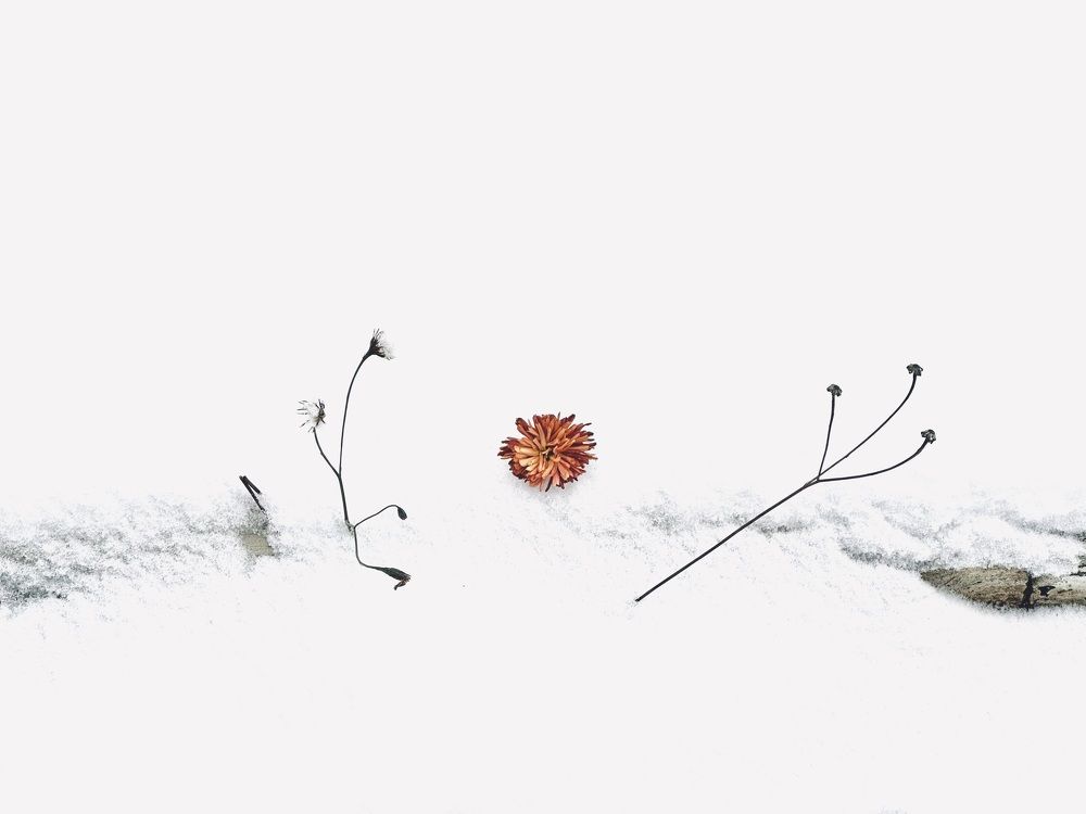 Photograph by Наталья Сережко