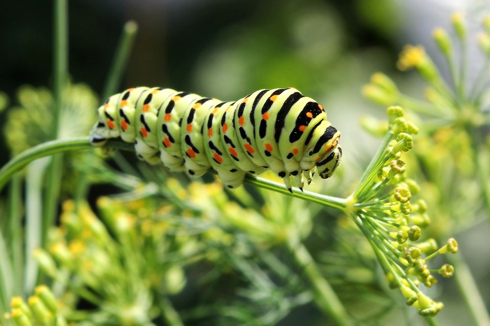 Photograph by Vitaliy Saposhnikov