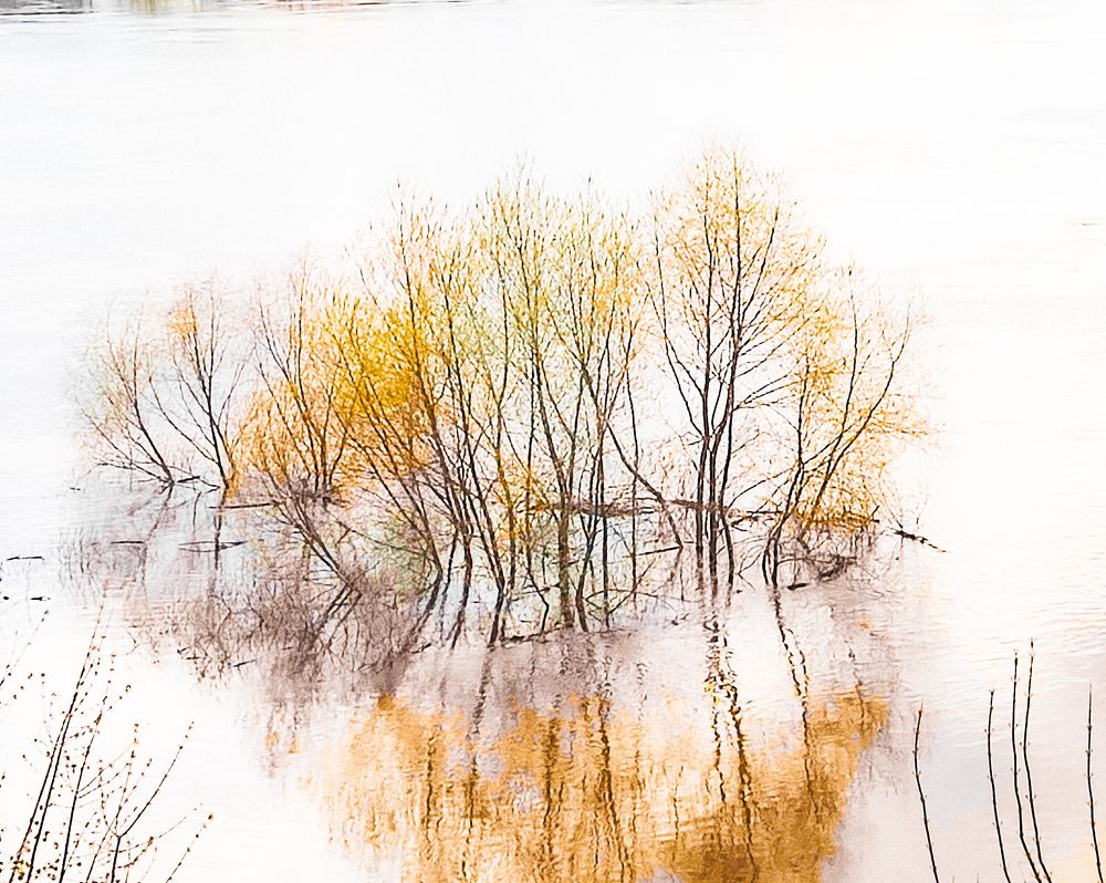 Фотография автора Нина Зинченко