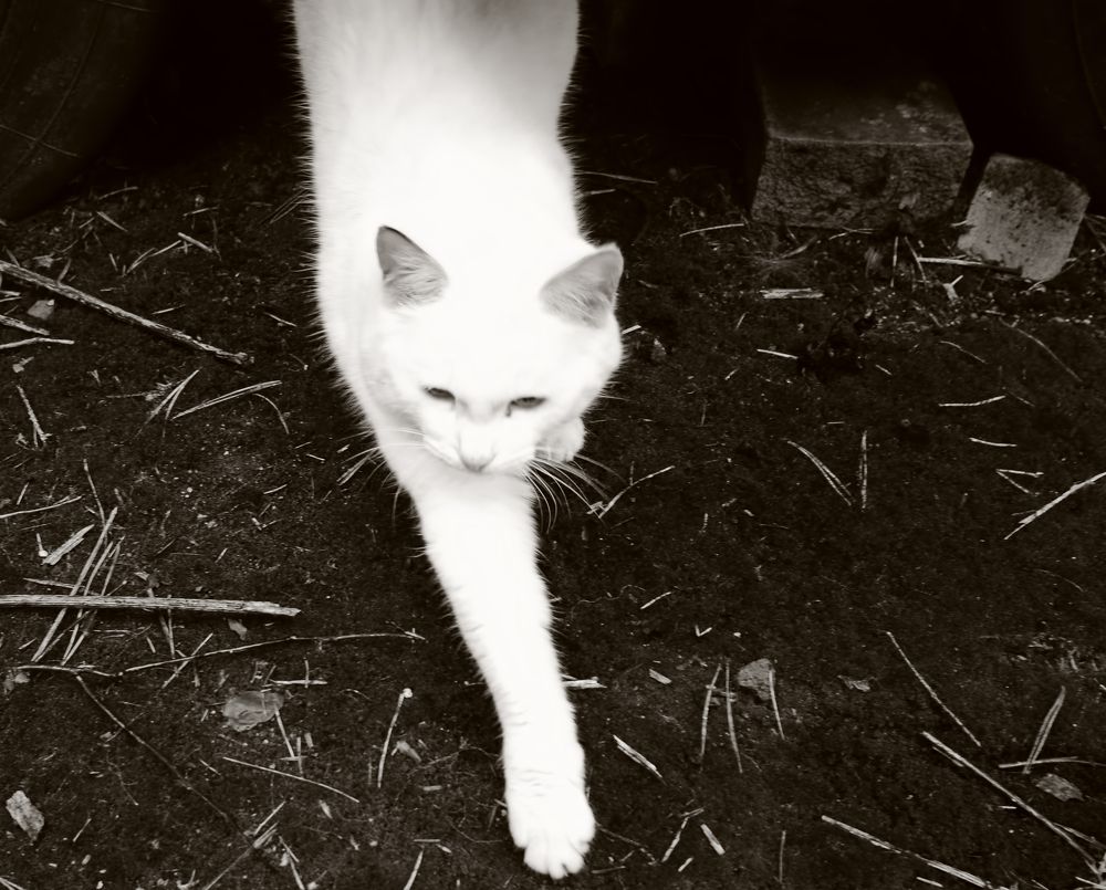 Photograph by Владислав Кравцов