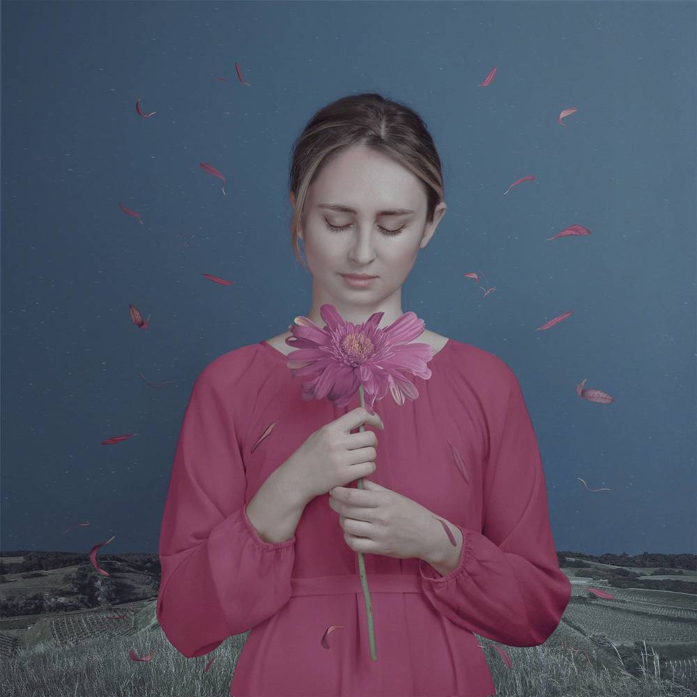 Petals of Midnight Dreams