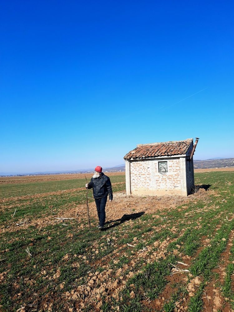 Фотография автора JELENA VASIC