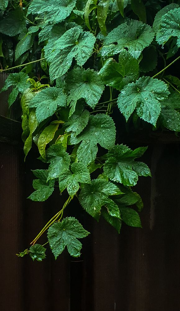 Photograph by Анастасия Трофимовская