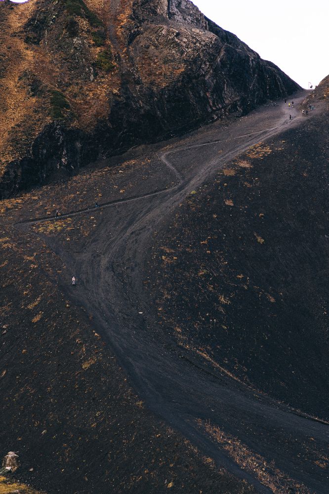 Photograph by Полина Родинс