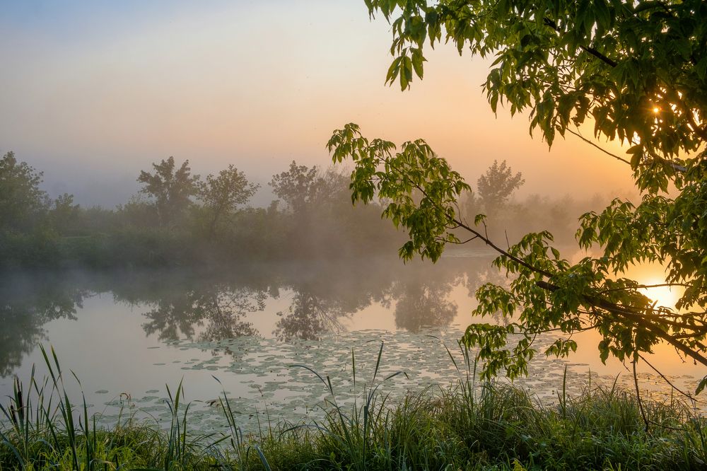 Photograph by Александр Строков