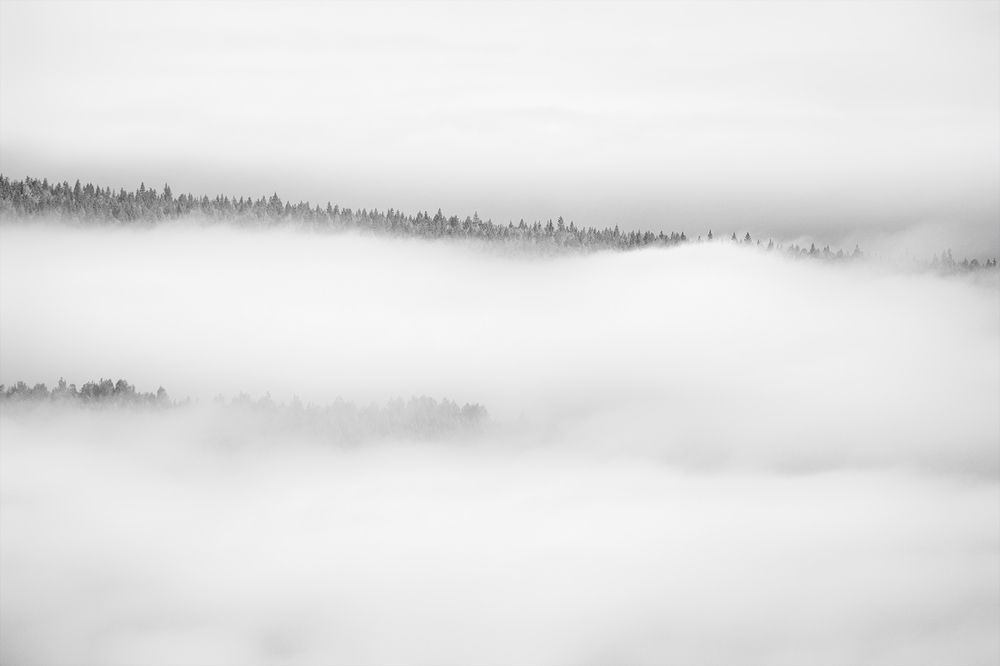 Photograph by Александр Чазов