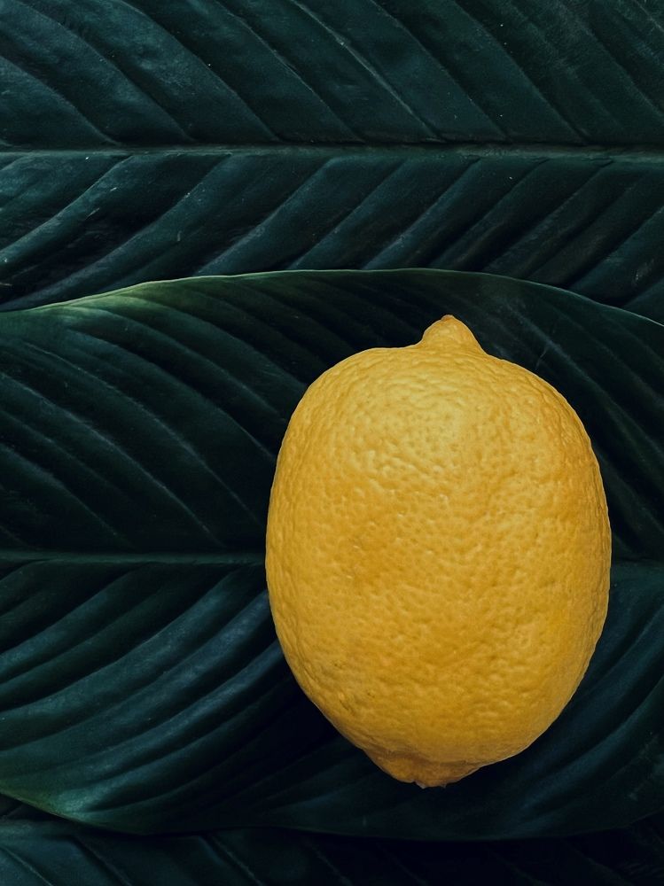 Photograph by Ксения Гулькова