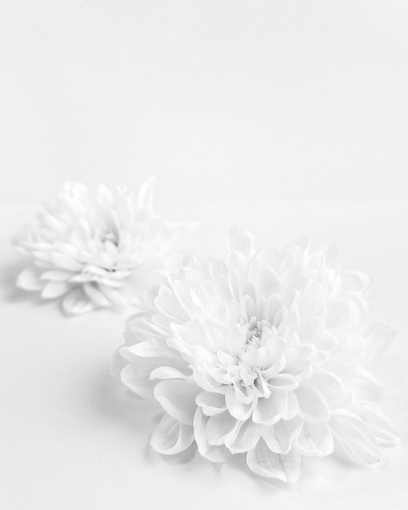 Photograph by Ксения Гулькова