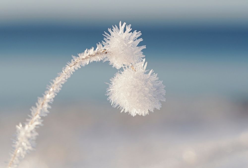Photograph by Евгений Яковлев