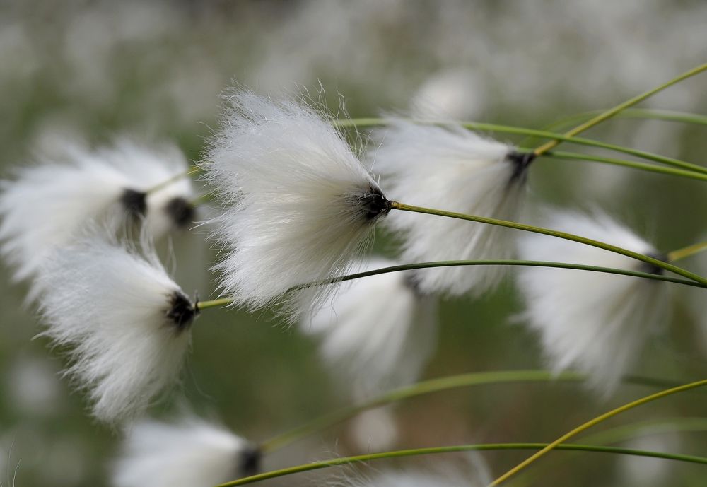 Photograph by Евгений Яковлев