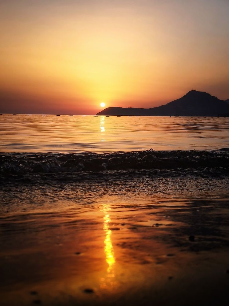 Фотография автора JELENA VASIC