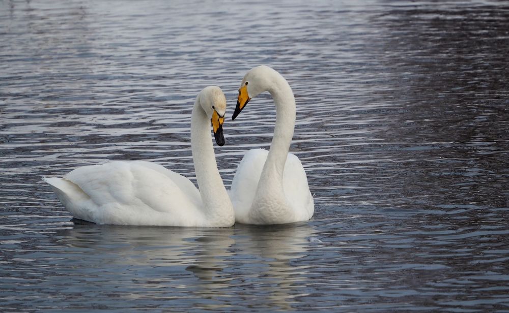 Photograph by Евгений Яковлев