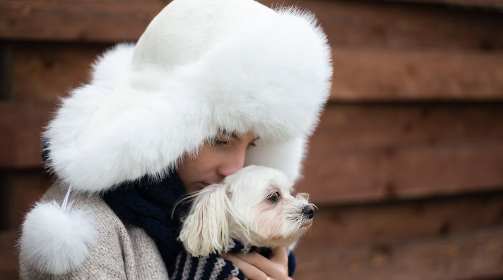 Photograph by Наталья Трусова