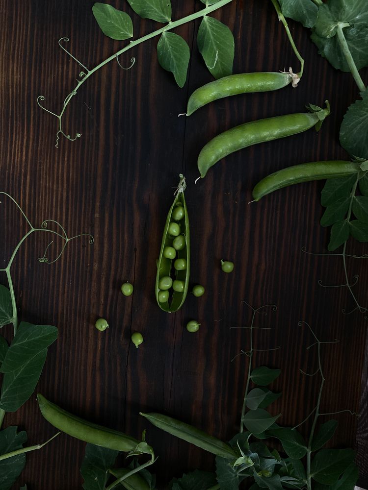 Веселые горошинки