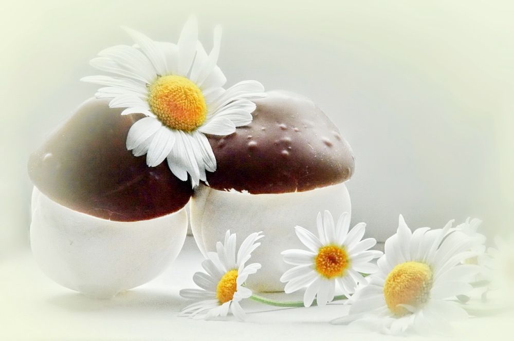 Сладкая парочка