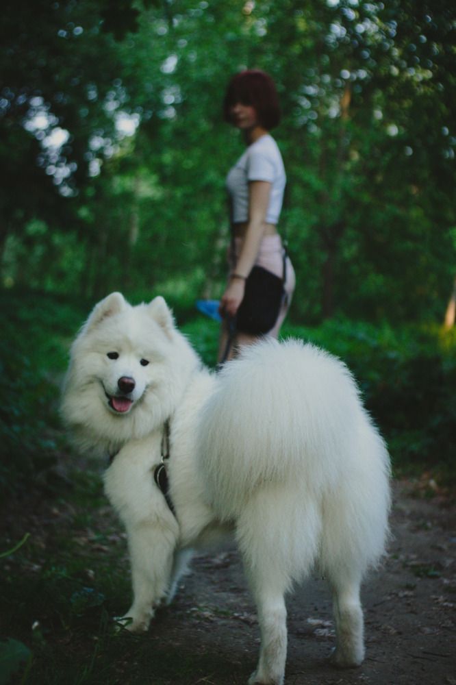 Photograph by Степоненкова Екатерина