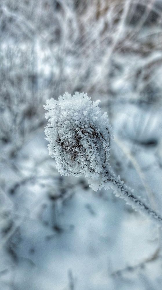 Photograph by Юлия Коробкова