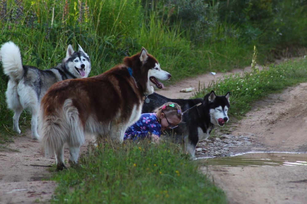 Photograph by Елена Наленч