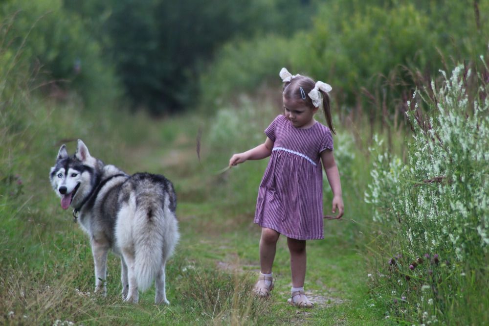 Photograph by Елена Наленч