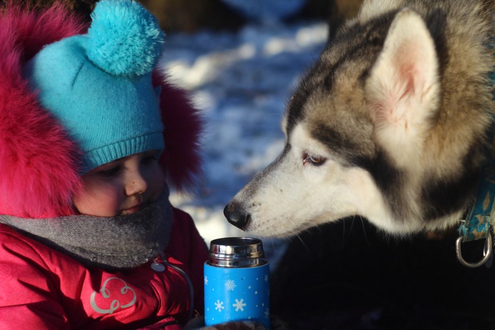 Photograph by Елена Наленч