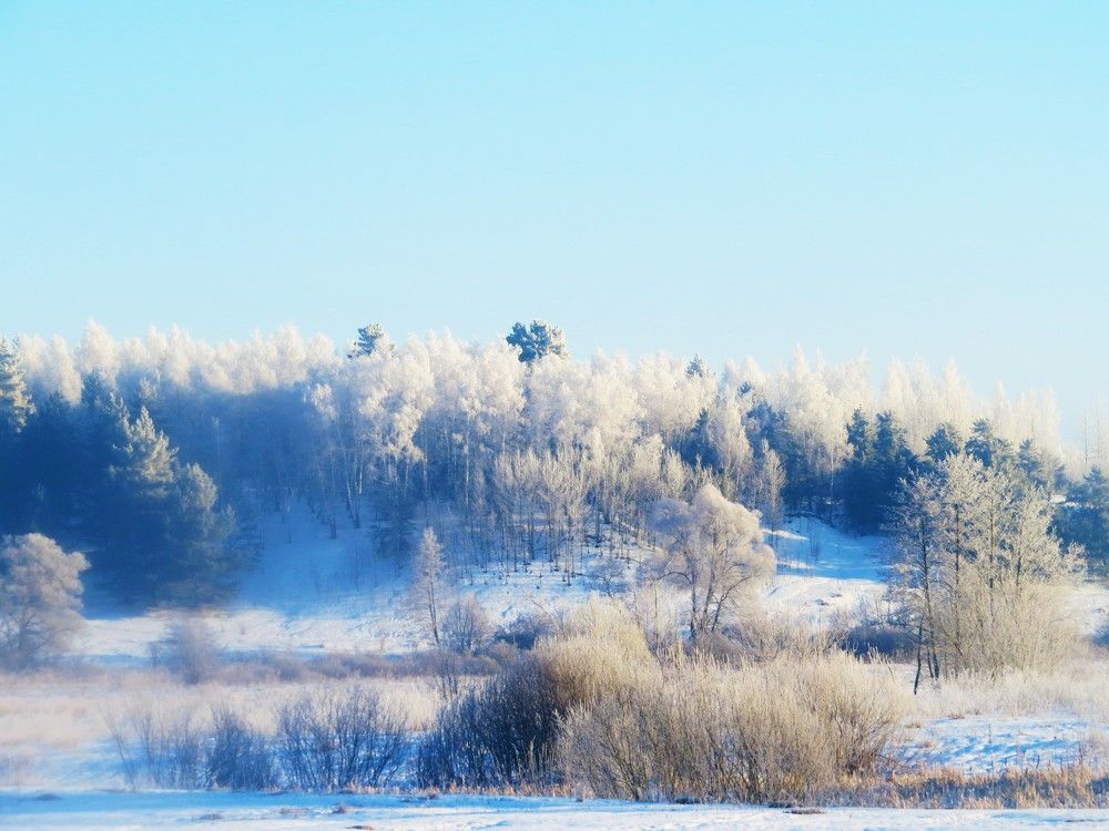 Photograph by Лариса Басова