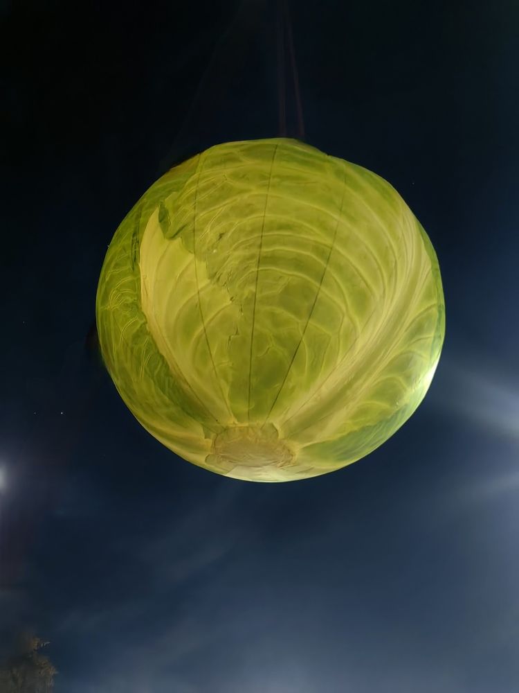 Photograph by Светлана Зыкова