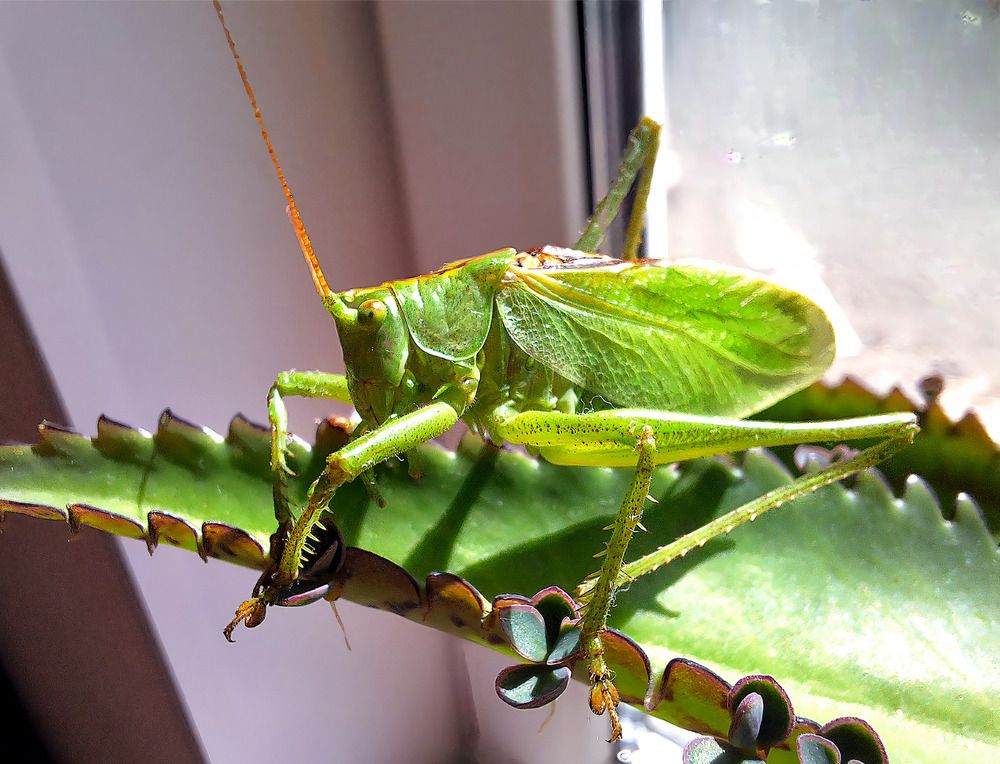 Photograph by Татьяна Слесарева