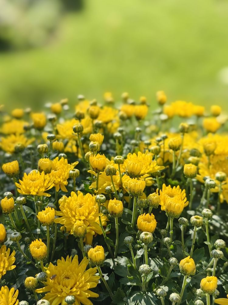 Photograph by Светлана Зыкова