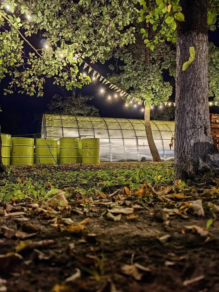 Photograph by Светлана Зыкова