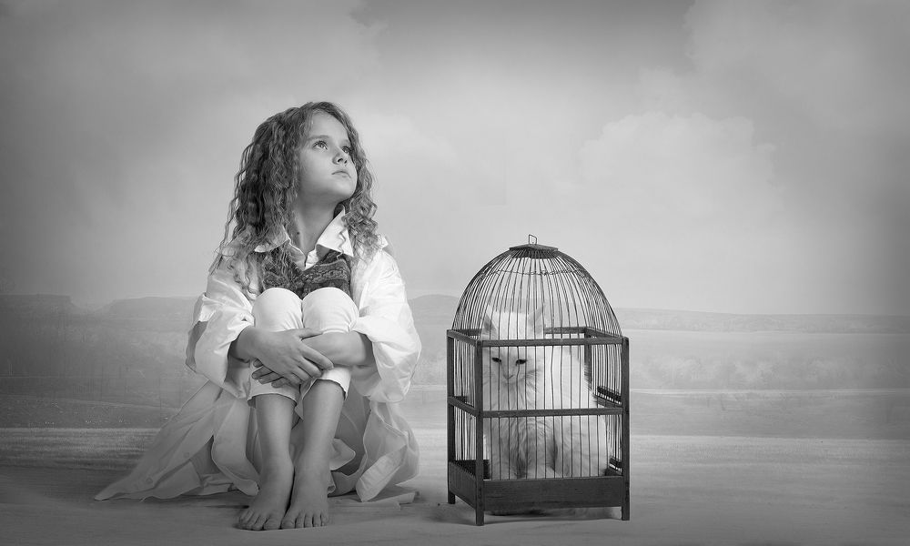 Photograph by Dar Veter