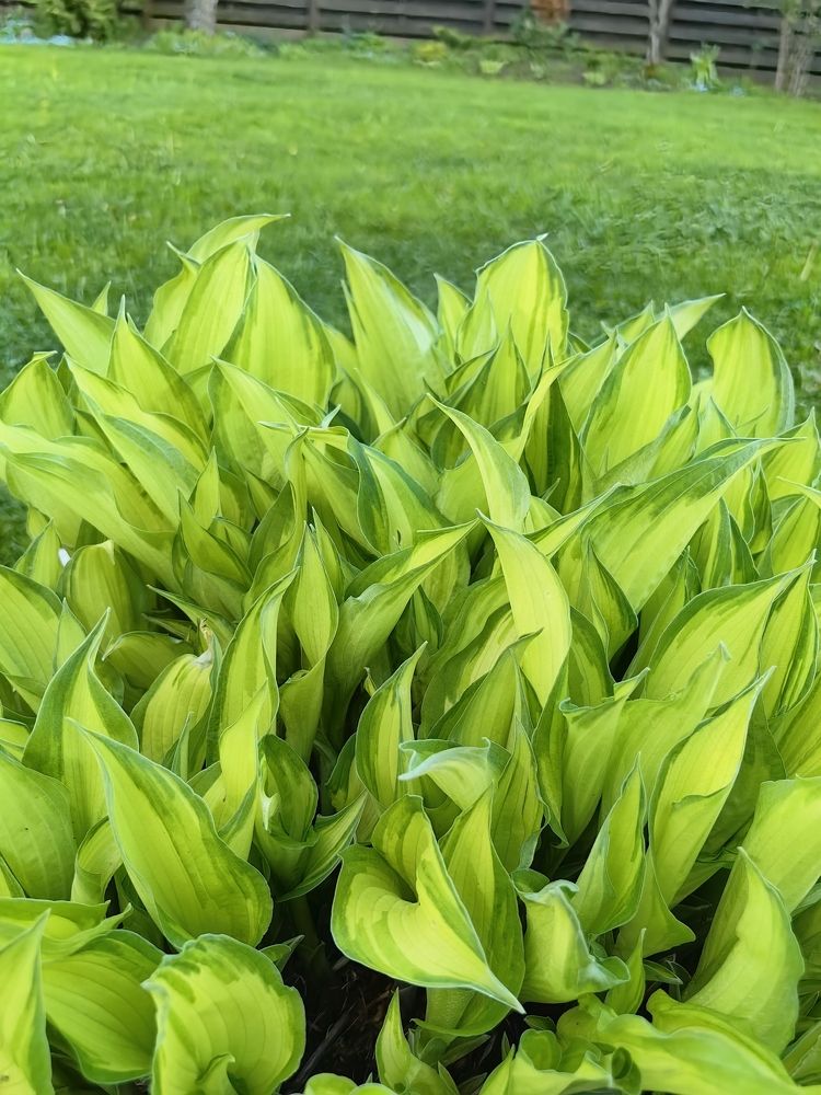 Photograph by Светлана Зыкова