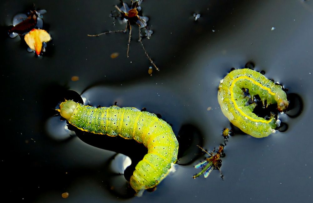 Photograph by Татьяна Слесарева