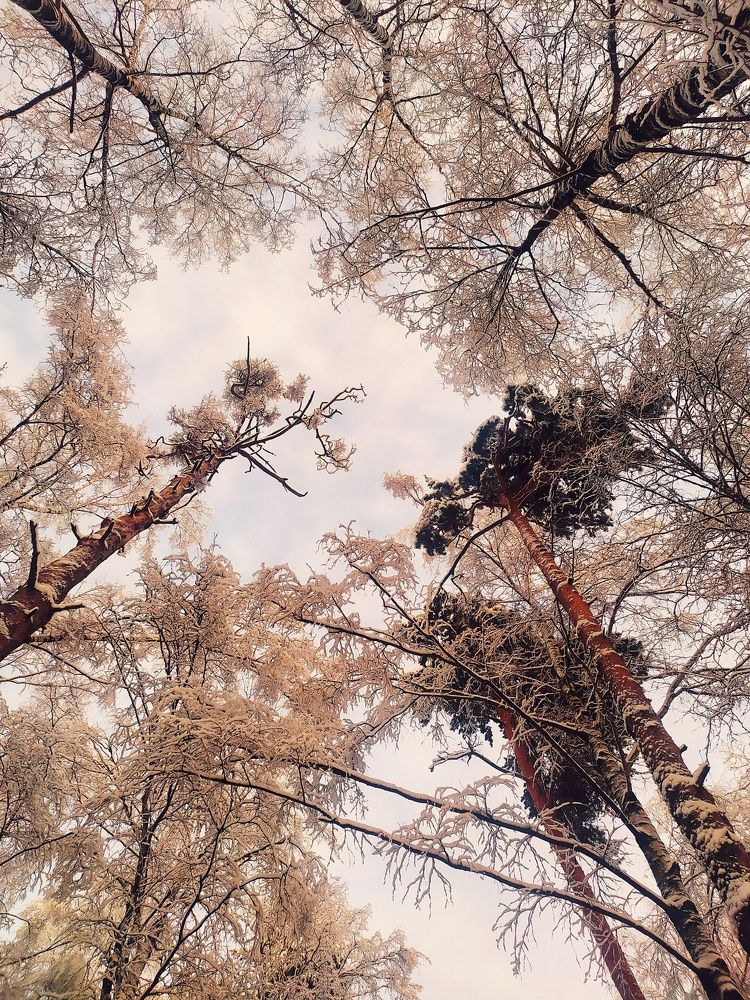 Photograph by Любовь Сухова